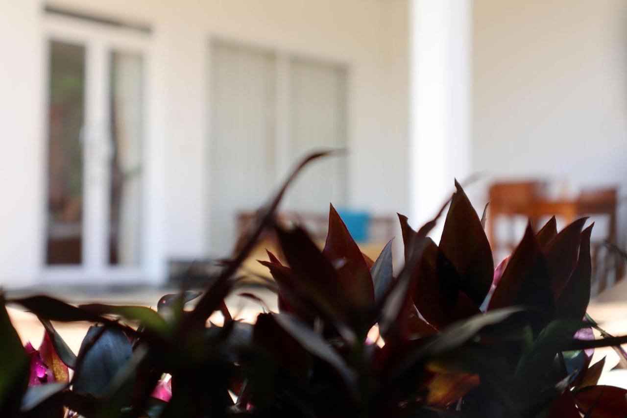Ella Touch Bed and Breakfast Buitenkant foto